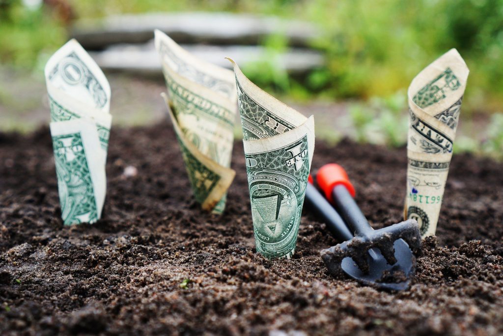 Dollar bills set in soil to represent the concept of investing.